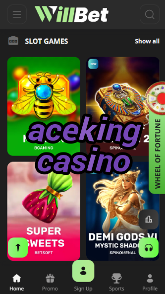 AceKing Casino - Premium VIP Casino-casinodogs.ydblkf.net